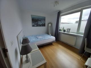 private rooms, free parking, luxury city villa close to the center - 7