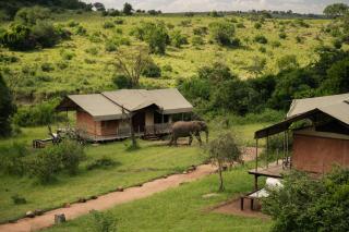 Serengeti Migration Camp - 8