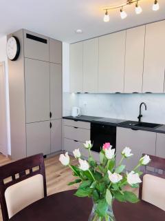 Odlewnicza 64 Apartament Krowodrza - 3