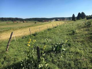 Studio dans le Haut Doubs - 7
