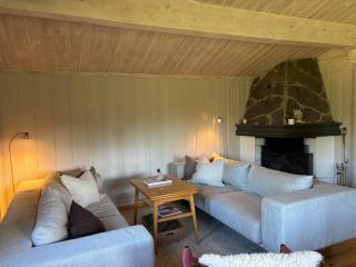 Cozy and undisturbed mountain cabin near alpine and ski slopes - 9