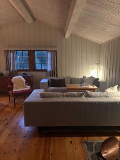 Cozy and undisturbed mountain cabin near alpine and ski slopes - 2