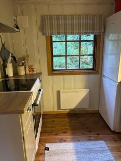 Cozy and undisturbed mountain cabin near alpine and ski slopes - 2