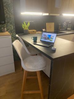 Aero Garden Studio 5 Min to Airport parking - 5