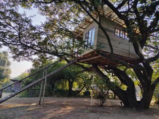Tree house Living - 0