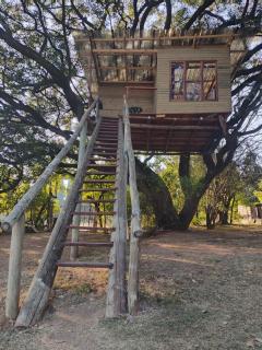 Tree house Living - 5