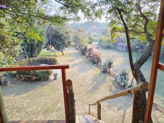 Tree house Living - 1