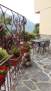 Oleandro - 3