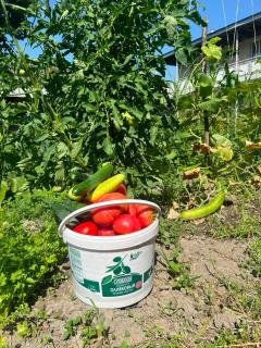 Kera - Organic Farm Experience - 6