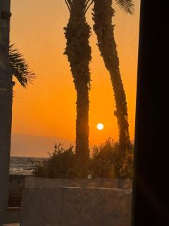 Luma Beachfront 2 Bedroom House Oasis with Yard - 5