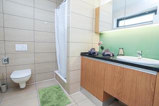 BL lakeside with Pool, medencés apartman, privát partszakasszal - 4