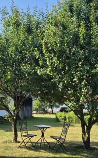 Apartman Orhideja - 6