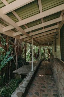 Citrus Creek Plantation - 7