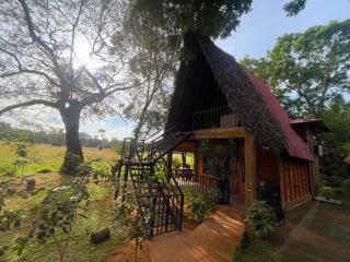 Ama Villa - Habarana - 0