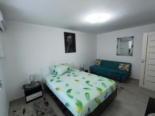 Apartament IRIS Băile Herculane - Băile Herculane - 6