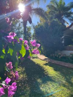 Merwenstein - Farm House, Cottages, Studio-Units - 6