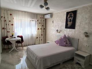 Apartament IRI Băile Herculane - 0