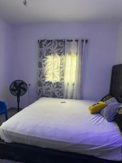 Spacious One-bedroom and living room - 1