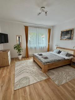 Casa Crisan - 4