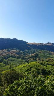 The Ridge Vagamon - Private Villa - 7