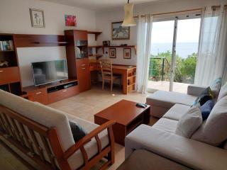 'Casa do Gabriel' spacious Madeirian villa with private garden and ocean view - 3