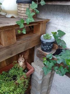 Óváros apartman Pápa - 2