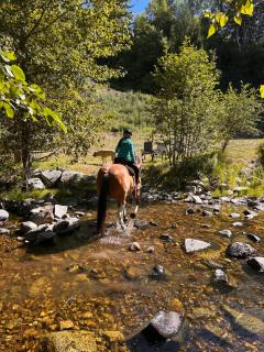 Privet creek side glamping - 1