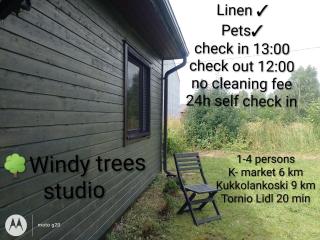 Windy trees studio Tornio - 0