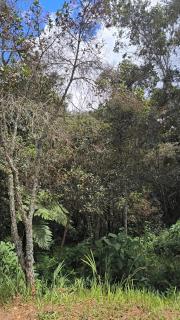 Sendero Ancestral - 6