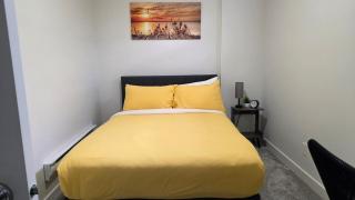 New Family 1-Bedroom near Hospital, YMCA, Cineplex, Grocery Stores - 5