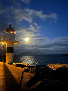 Astra Whale - Waterfront Boutique Hostel in Lofoten - 4