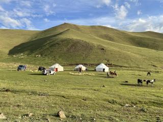 Shilbili travel - 6