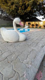 Golentle Home Stay & Extra View Safaris - 8