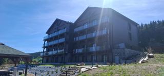 Willa Zieleniec, Apartament A9 - w pobliżu stoku narciarskiego, piękny widok, basen, strefa wellness - 9