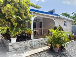 Edenbluetropical - 0