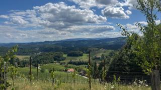 die frieda by Natū-Homes - Wellness, Wein & Natur - 8