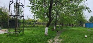 Astara Garden House - 1