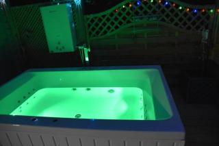 Lakeside Shepherd's hut with outdoor 'jet' bath - 4