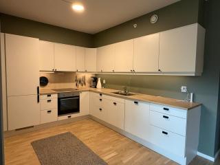 Apartment in Myrkdalen, Voss - 6
