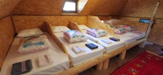 Pinetrees Lodge Hostel - 0