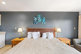 Pet-friendly King Bed Studio with Kitchenette - Pool and Hot Tub - 1