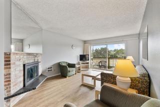 Pet-Friendly Family Suite - Kitchen and Fireplace - Pool and Hot Tub - 4