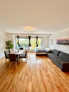 Modern Spacious Apartment with Free Parking - 8