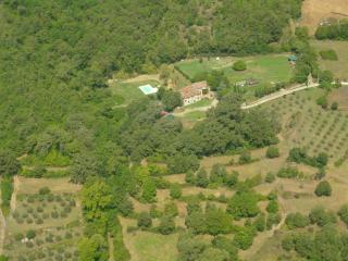 All'Antico Silbule - Capolona - 0