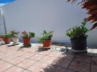 Appartement climatisé avec vue mer & jardin privé & parking - 1