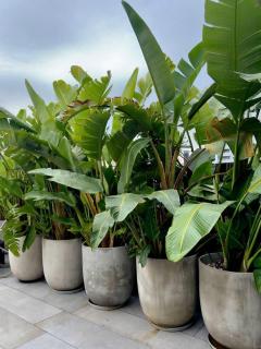 Elegance Hotel - Ben Thanh Market - Central HCMC - 3
