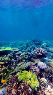 Mangrove Reef Guest House - 6