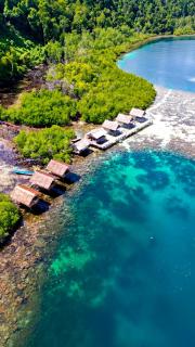 Mangrove Reef Guest House - 4