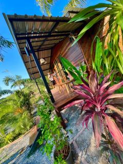 Tee Bungalow in the jungle - 3