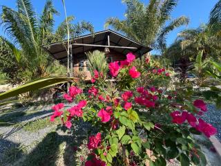 Tee Bungalow in the jungle - 4